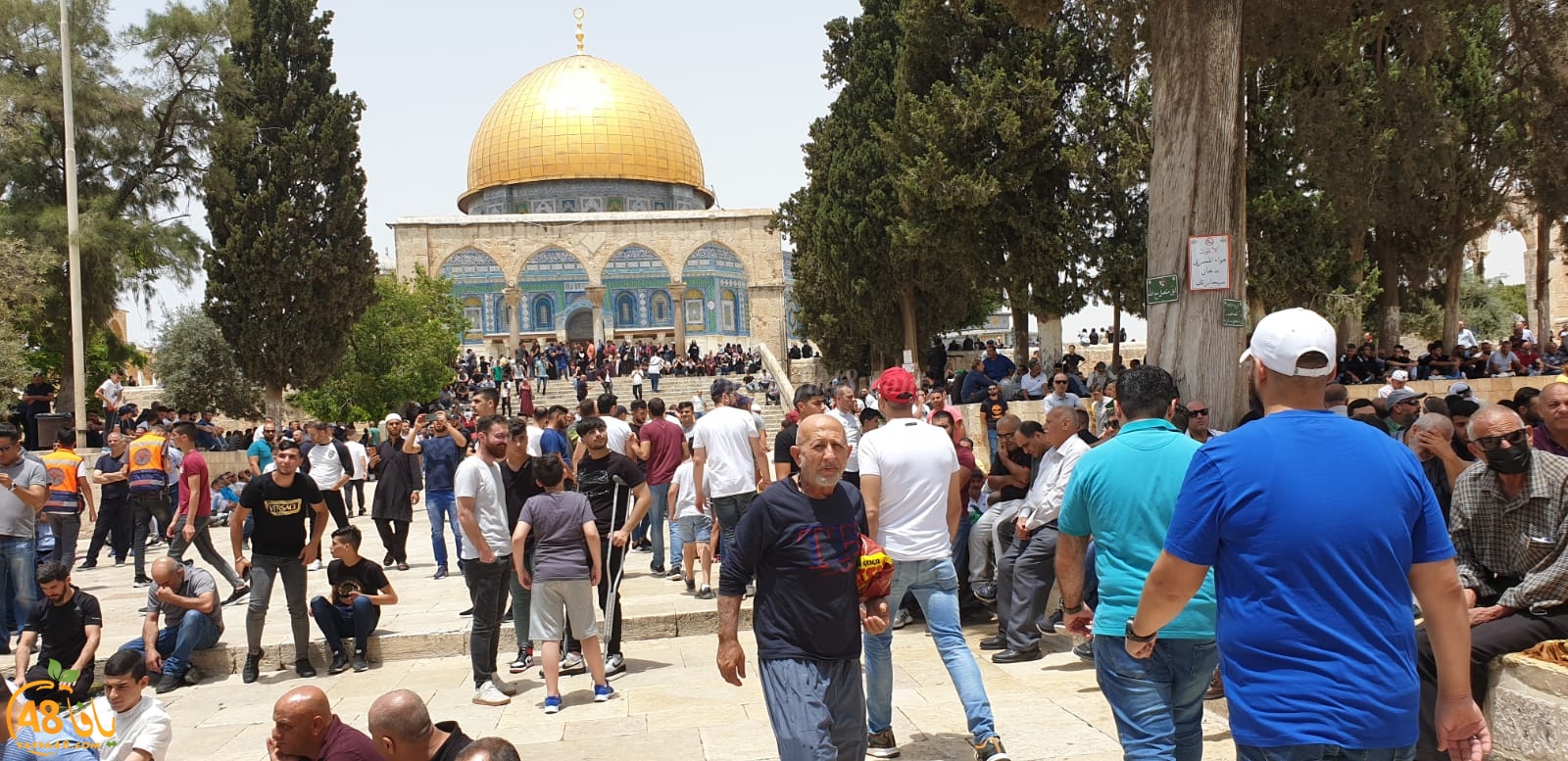 فيديو وصور من باحات المسجد الأقصى المبارك 